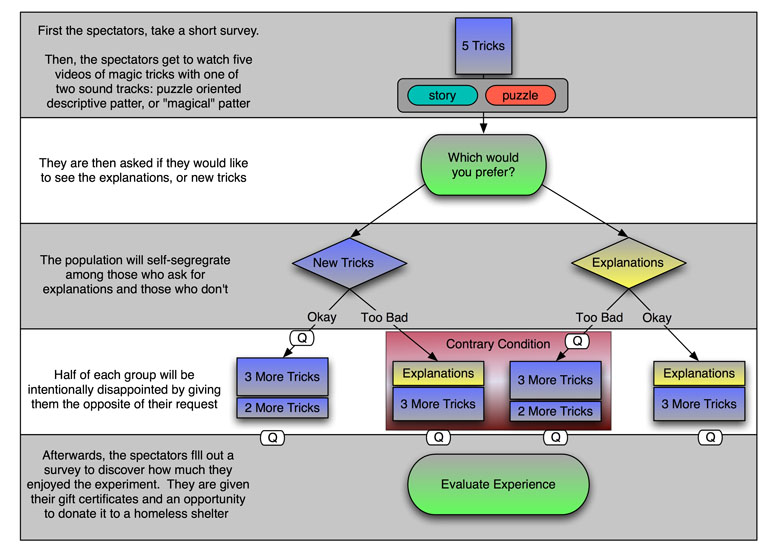 Wonder Experiment Flow Diagram diagram